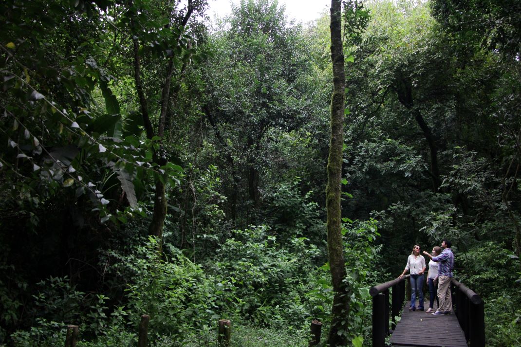 Imagen de galería 1